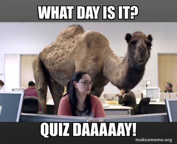 Hump Day Camel meme