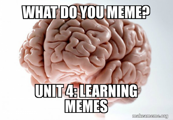 Scumbag Brain meme