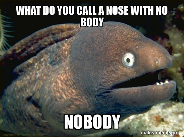 Bad Joke Eel meme