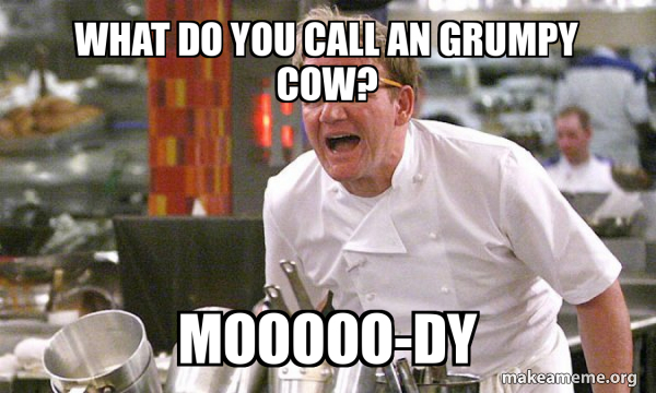 what do you call an grumpy cow? MOOOOO-DY - Gordon Ramsay Hell's ...