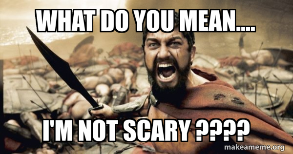 The 300 meme