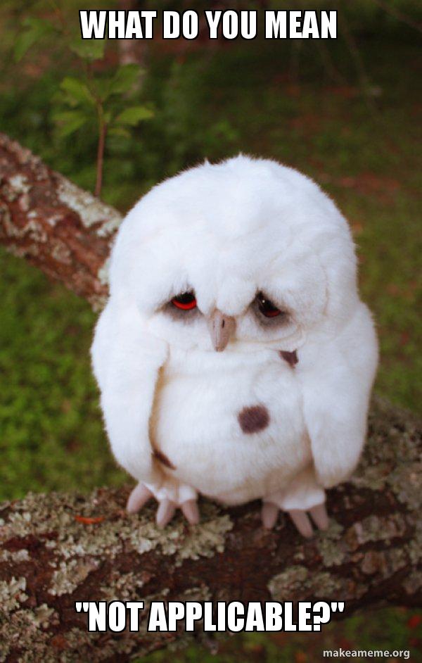 What do you mean "Not applicable?" Sad Owl Meme Generator