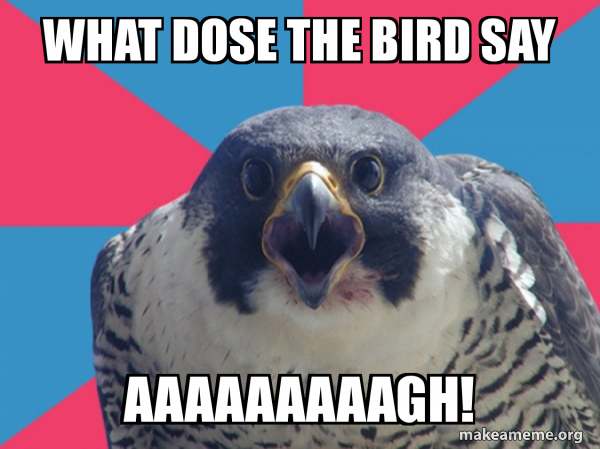 Millennial Falcon meme