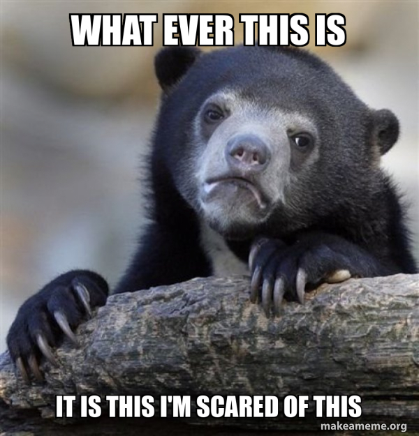 Confession Bear meme