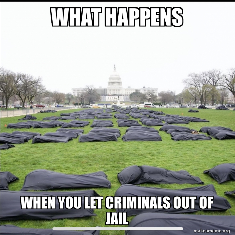 What happens when you let criminals out of jail Meme Generator