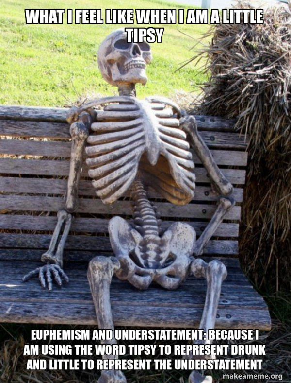 What I feel like when I am a little tipsy Euphemism and Understatement