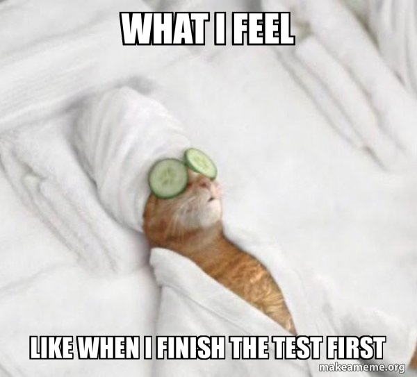 what I feel like when I finish the test first - Pampered Cat Meme Meme ...