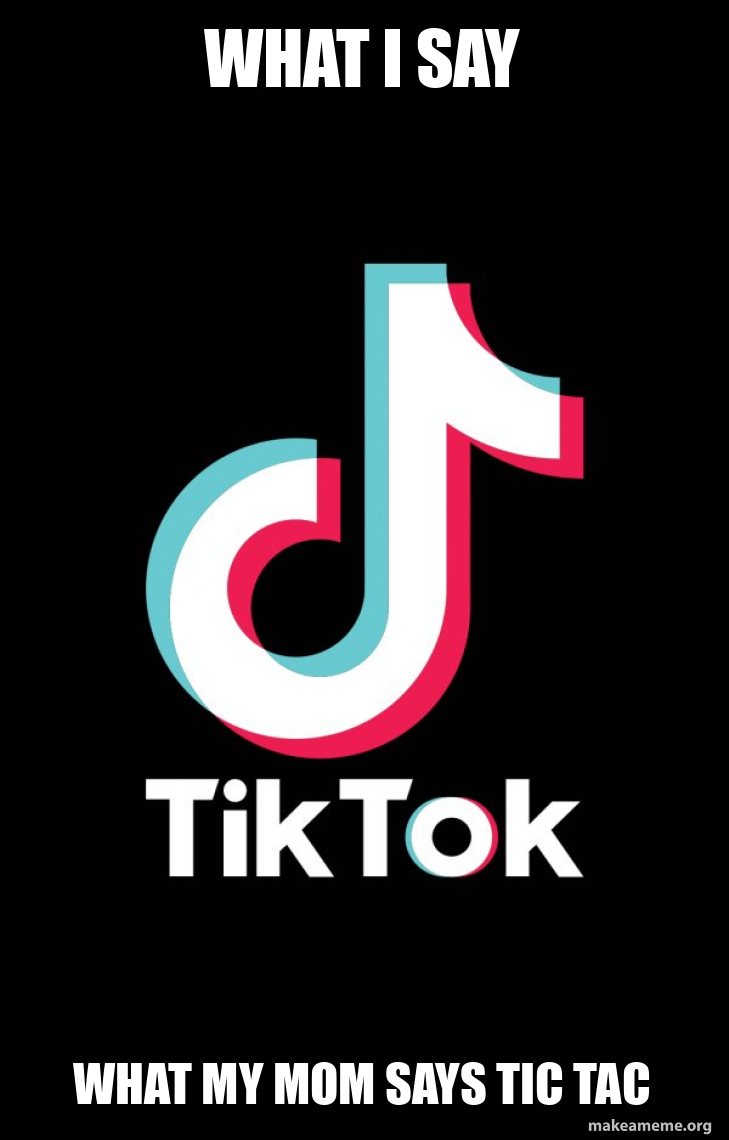 what-i-say-what-my-mom-says-tic-tac-tiktok-meme-generator