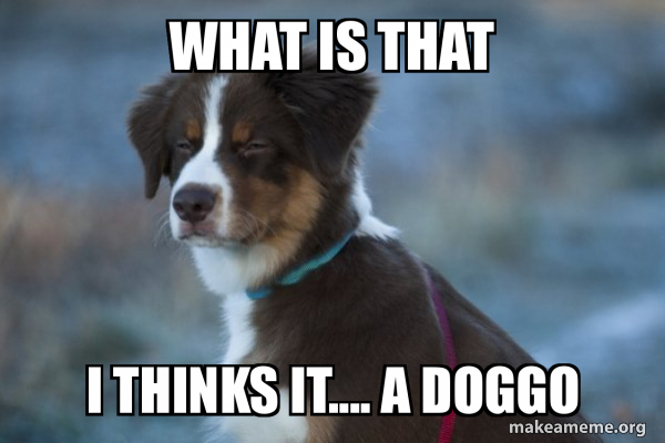 Unsure Dog meme