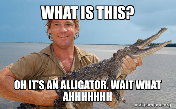 Steve irwin meme