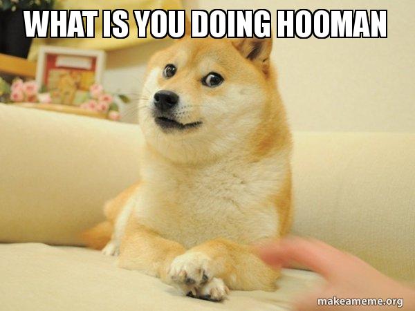 What Is You Doing Hooman Doge Make A Meme