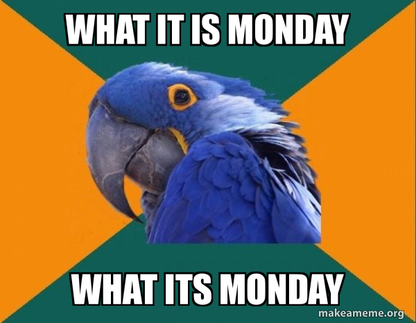 Paranoid Parrot meme