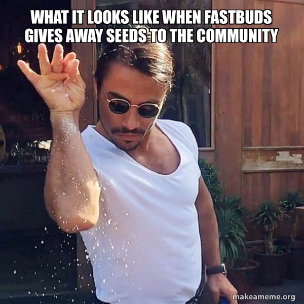 SaltBae or Salt Bae meme