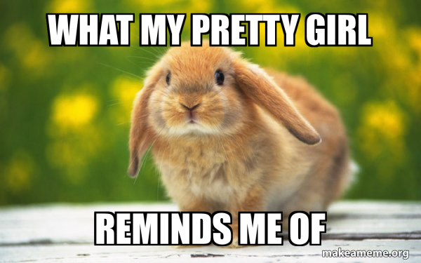 Regretful Rabbit meme