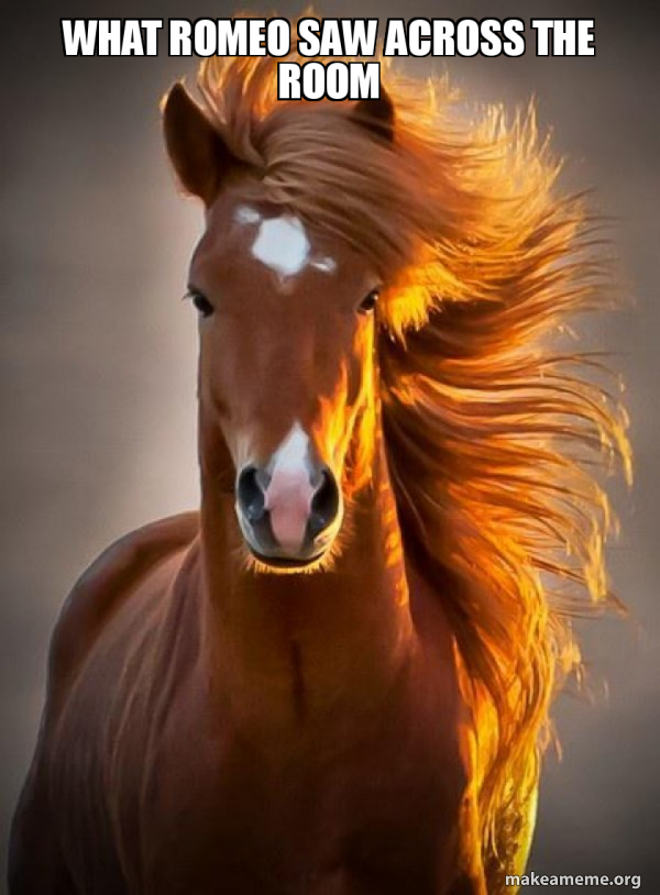 Ridiculously photogenic horse meme