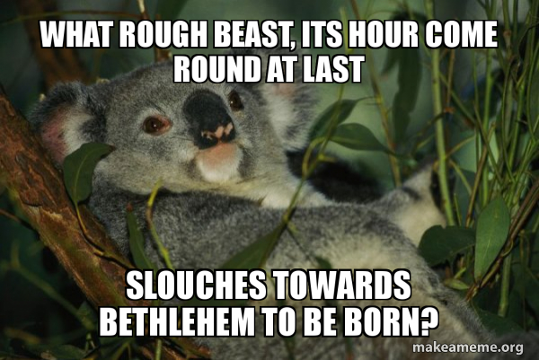 Laid Back Koala meme