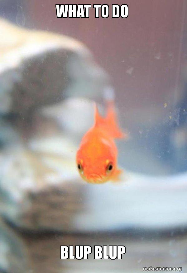 Blup fish