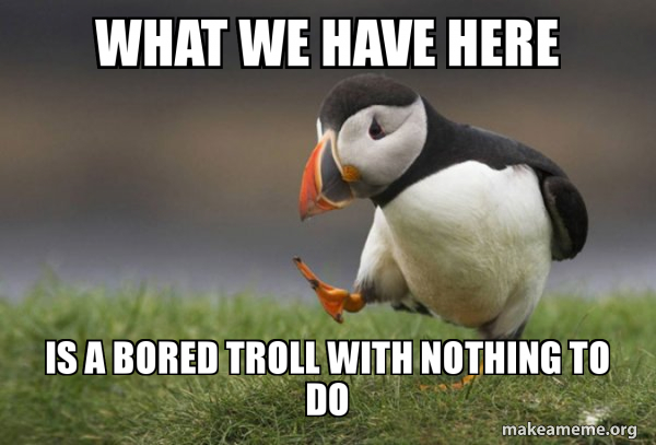 Unpopular Opinion Puffin meme