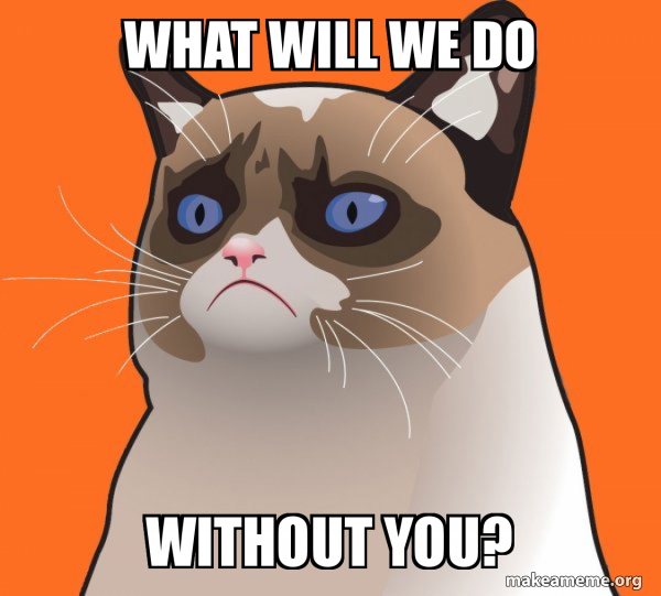 Cartoon Grumpy Cat meme