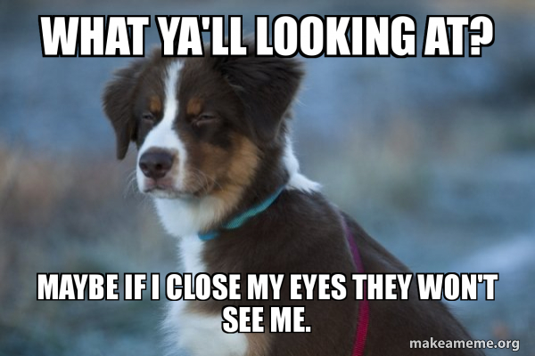 Unsure Dog meme