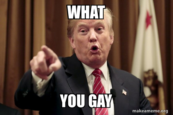 Donald Trump Says meme