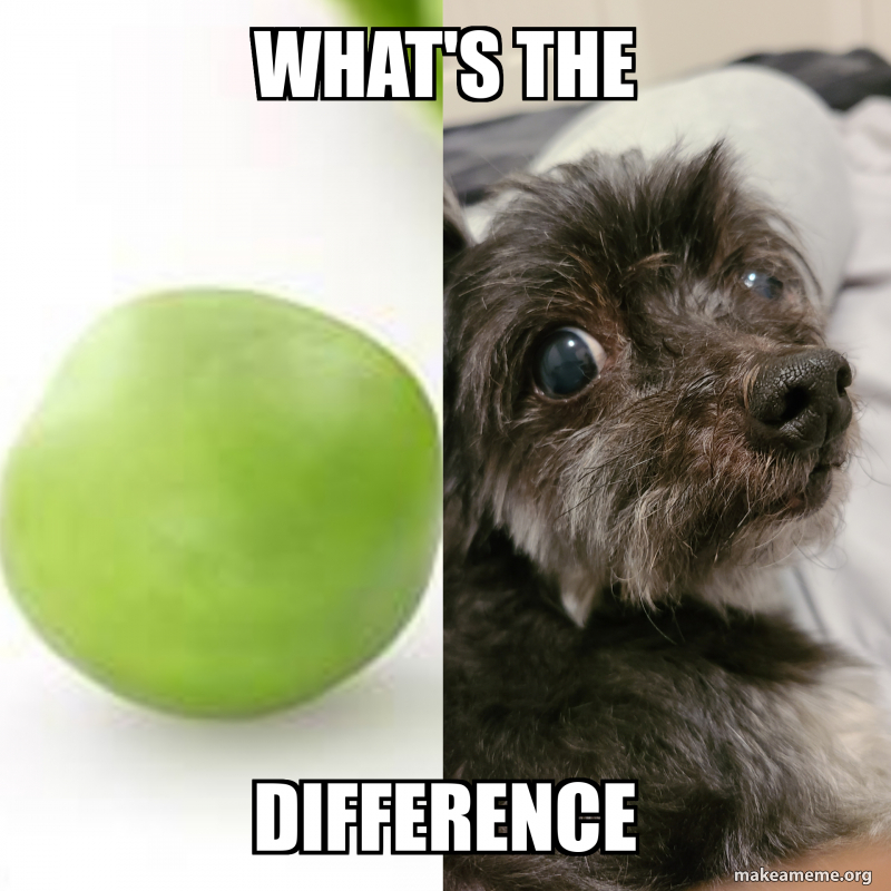 WHAT'S THE DIFFERENCE Meme Generator