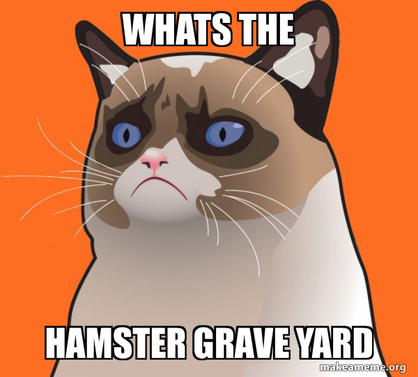 Cartoon Grumpy Cat meme