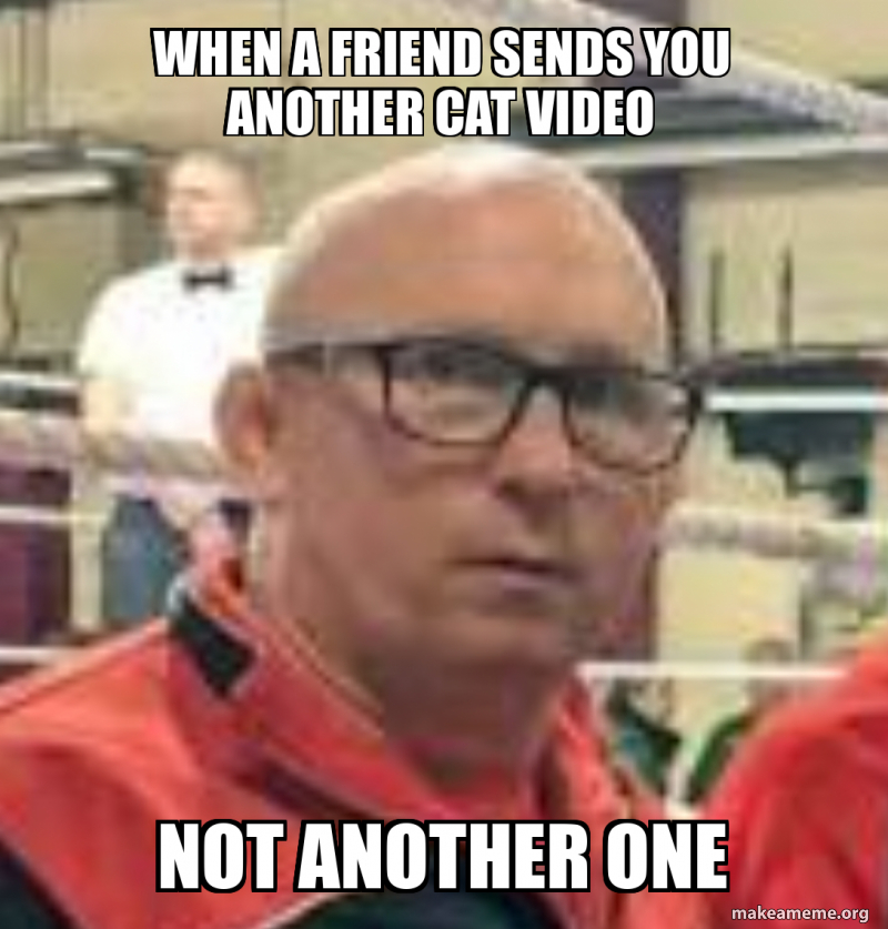 When a friend sends you another cat video Not another one Meme Generator