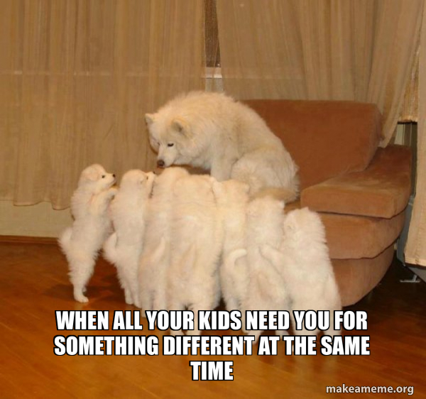Storytelling Dog meme