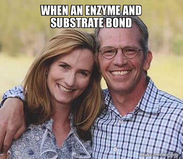 when an enzyme and substrate bond Good guy parents Meme Generator