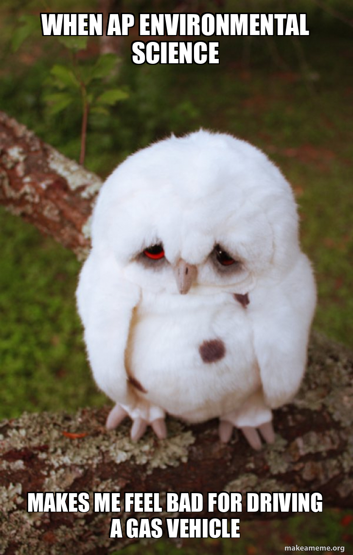 when ap environmental science makes me feel bad for driving a gas vehicle -  Sad Owl Meme Generator, image size:726x1140