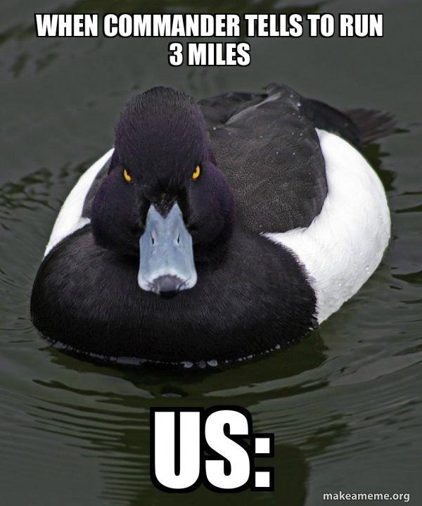 When commander tells to run 3 miles Us Revenge Duck ( Angry Advice
