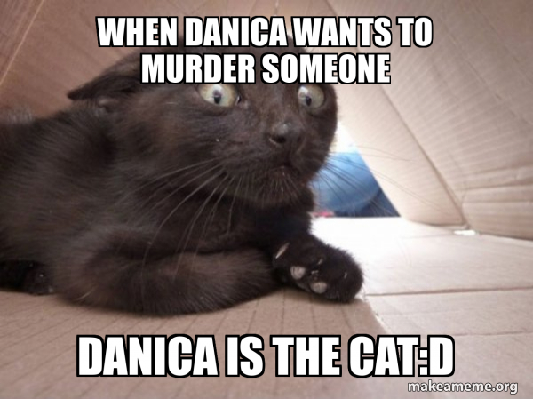 Schitzo Cat meme