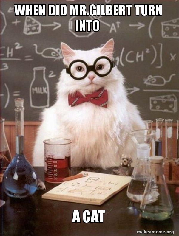 When did mr.gilbert turn into A CAT - Chemistry Cat | Make a Meme
