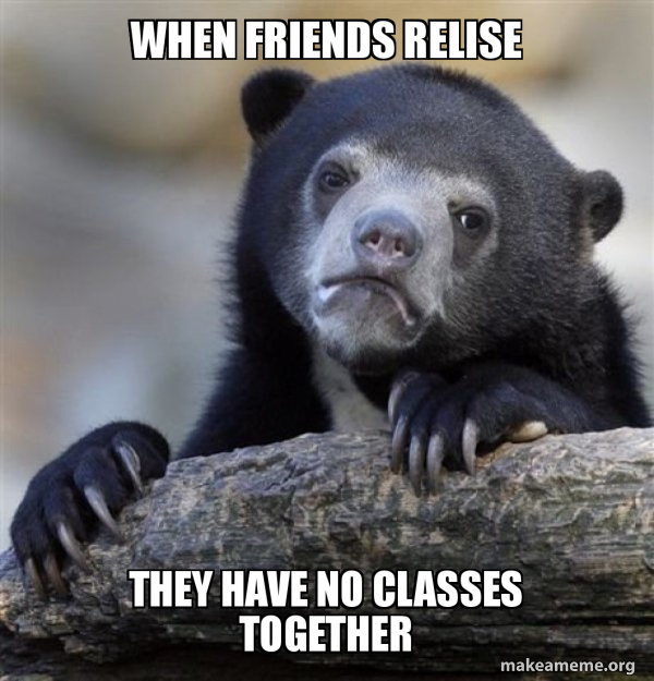 Confession Bear meme