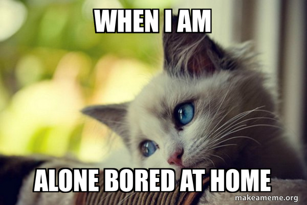 First World Cat Problems meme