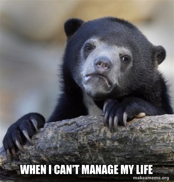 Confession Bear meme