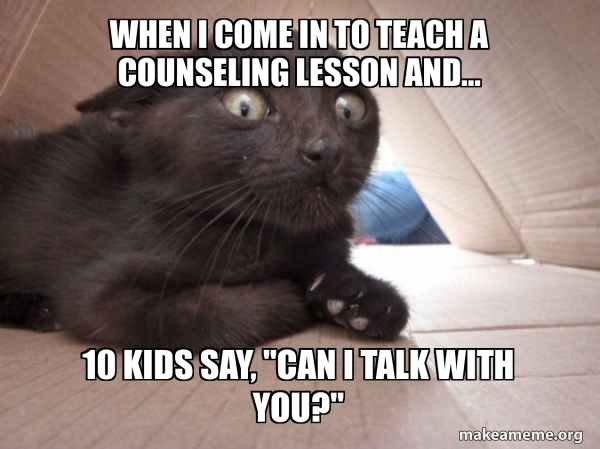 Schitzo Cat meme