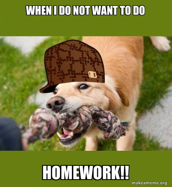 When I Do Not Want To Do Homework Scumbag Dog Make A Meme When I Do Not Want To Do Homework Scumbag Dog Make A Meme