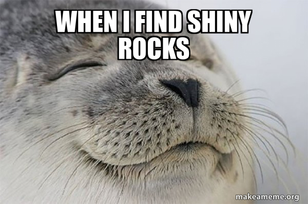 when i find shiny rocks - Satisfied Seal Meme Generator