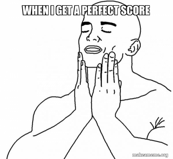 when I get a perfect score - Feels Good Meme Generator