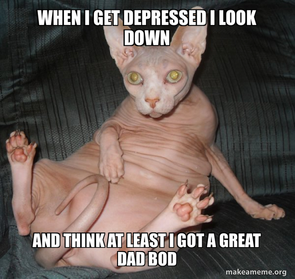 Hairless Cat meme