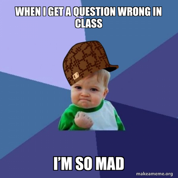 Scumbag Success Kid meme