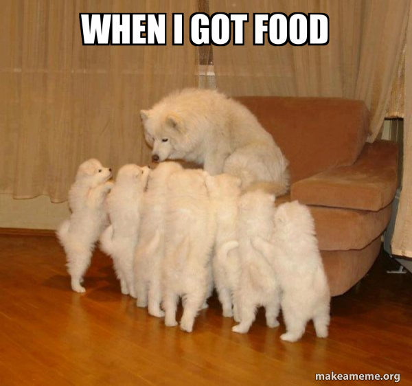 Storytelling Dog meme