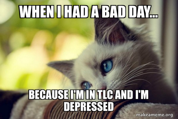 First World Cat Problems meme