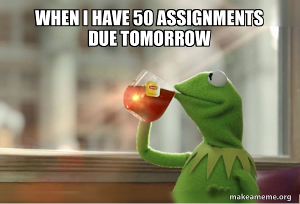 when I have 50 assignments due tomorrow - Kermit Drinking Tea Meme ...
