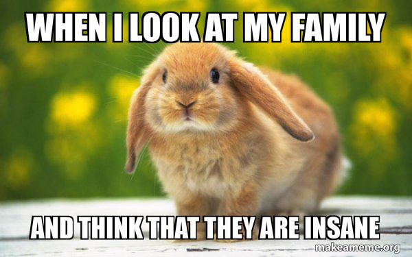 Regretful Rabbit meme