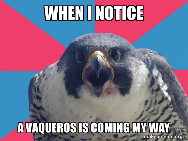 Millennial Falcon meme