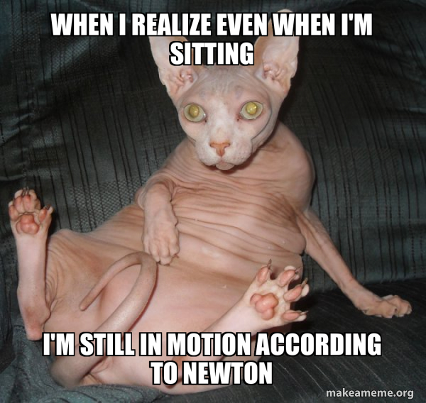 Hairless Cat meme