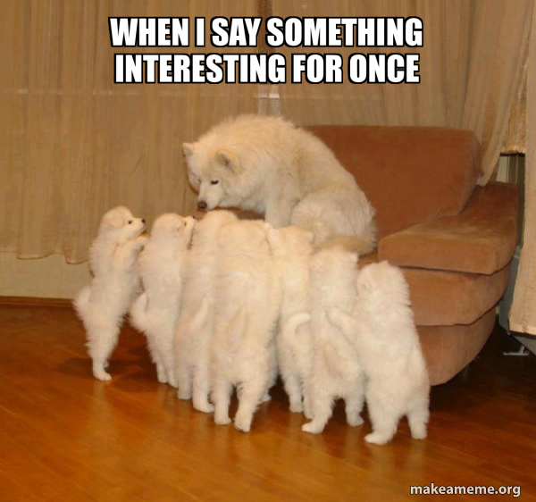 When I Say Something Interesting For Once - Storytelling Dog Meme Generator